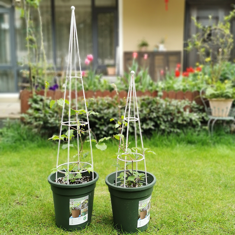 歐式鐵藝爬藤花架 優(yōu)雅與實(shí)用的植物支撐解決方案