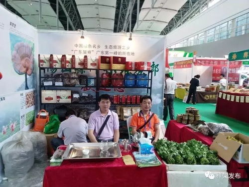秤架農(nóng)副產(chǎn)品閃耀廣州博覽會(huì)，電焊網(wǎng)助力鄉(xiāng)村振興