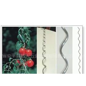 電焊網(wǎng) 打造堅(jiān)固耐用的番茄植物支架