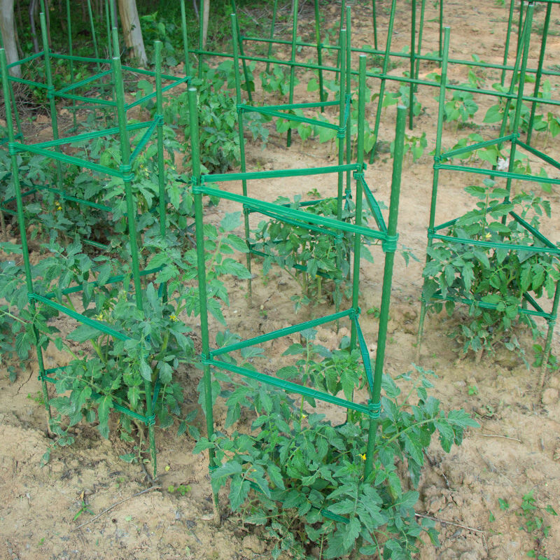 為豐收護(hù)航 定制金屬包塑番茄架，打造耐候耐銹的種植好幫手